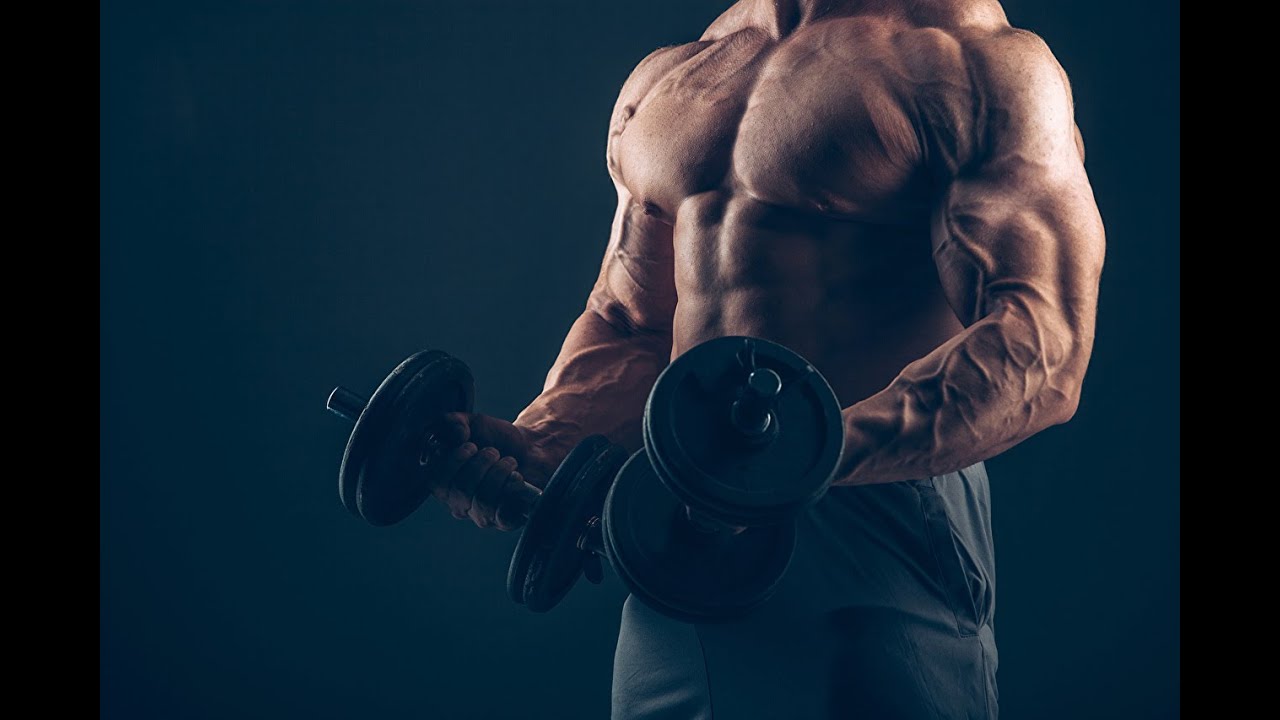 сустанон тренировка